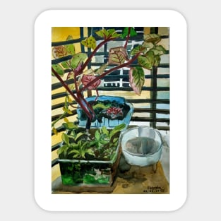 Urban Nature: A Balcony View Sticker